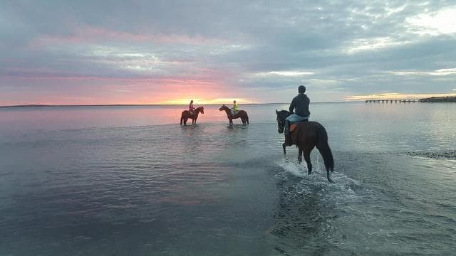 Flying the Carrison Racing Flag